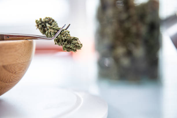 Learn How to Drive More Traffic to Your Online Store with These Essential SEO Strategies