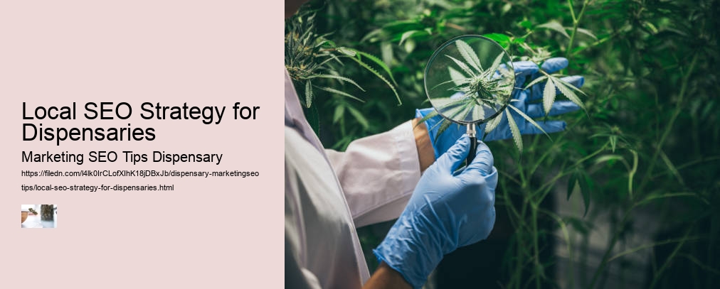 Local SEO Strategy for Dispensaries