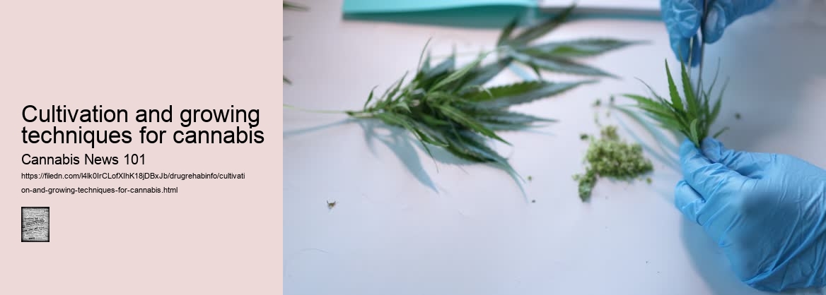 Cultivation and growing techniques for cannabis