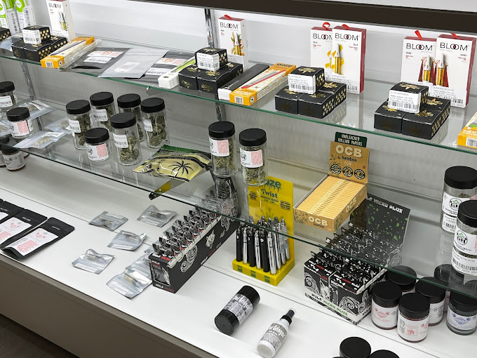 How to Grow Your Own Cannabis at Home