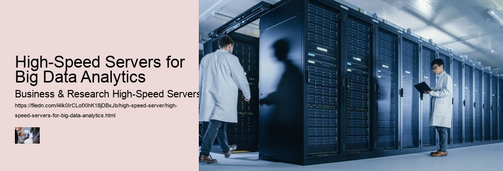 High-Speed Servers for Big Data Analytics