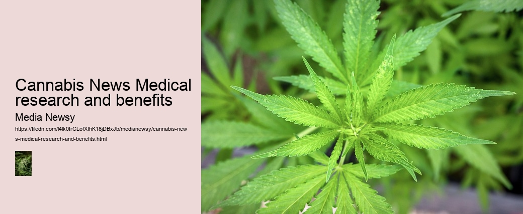 Cannabis News Medical research and benefits