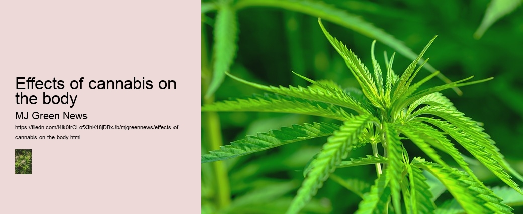 Effects of cannabis on the body