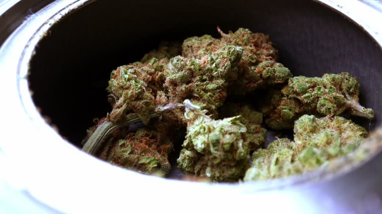 What is the recommended dosage of medical cannabis for cancer patients undergoing chemotherapy?