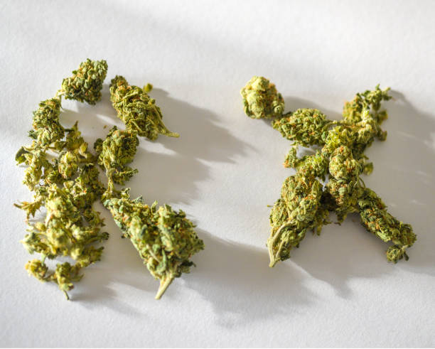 How to Choose the Best Medical Cannabis Products for Your Needs: Expert Advice 