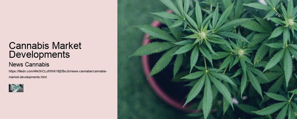 Cannabis Market Developments