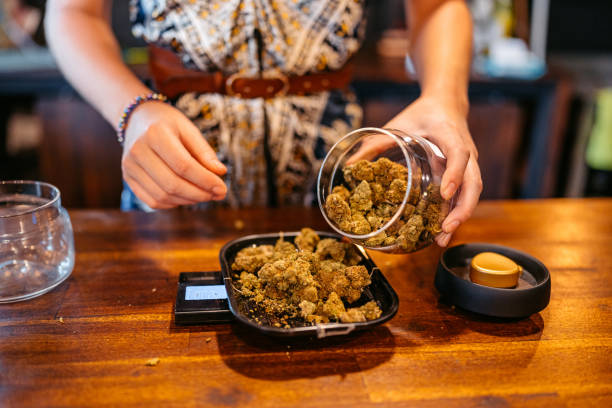 Curious about the Latest Trends? Discover Breaking Cannabis Business News Today!