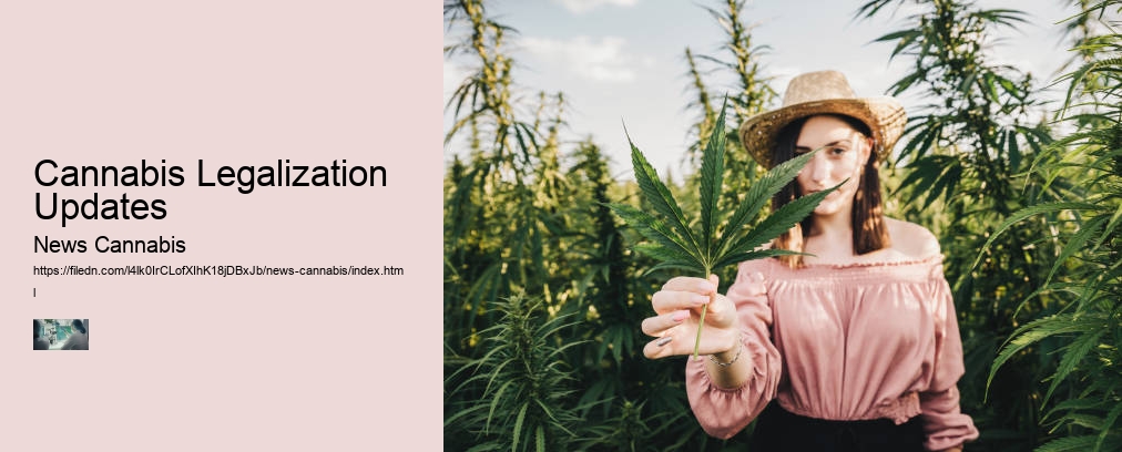 Cannabis Legalization Updates  