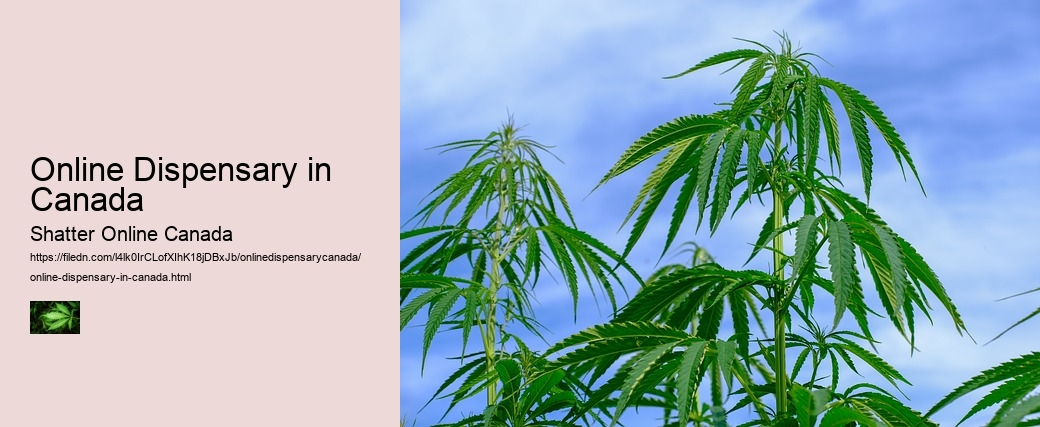 Online Dispensary in Canada