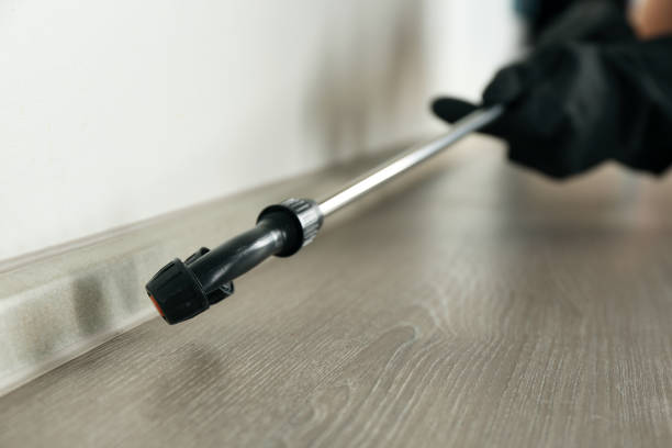 What is the best company for ant control services in Seattle?