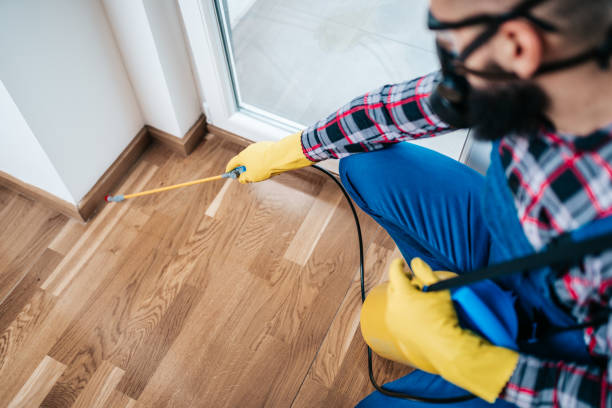 What is the cost of professional ant control services in Seattle?