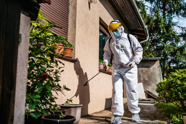 What is the process for hiring an ant control service in Seattle?