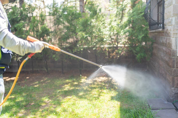 Say Goodbye to Pesky Ants with Expert Pest Control Services in Seattle