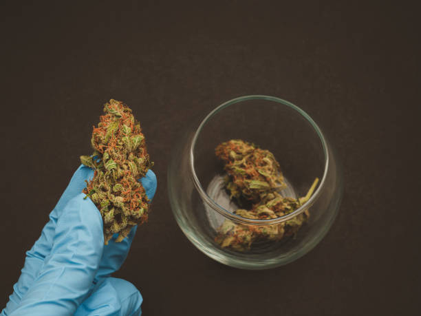 What is the latest cannabis-infused beverage hitting the market?