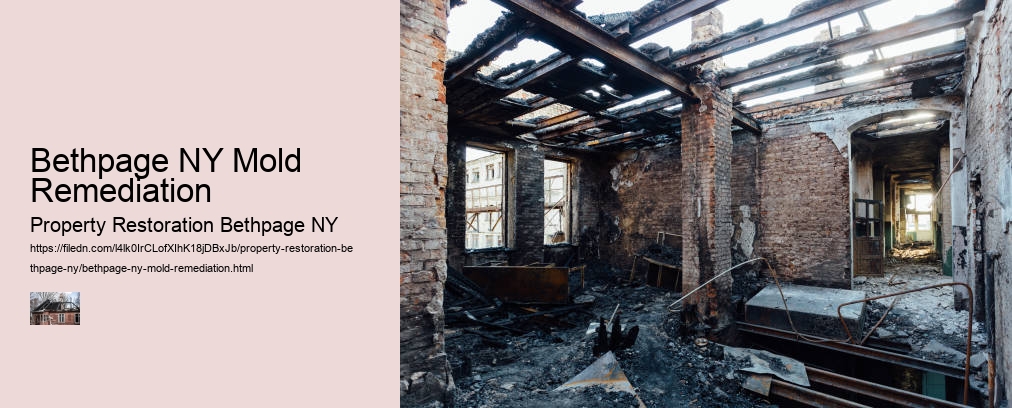 Bethpage NY Mold Remediation