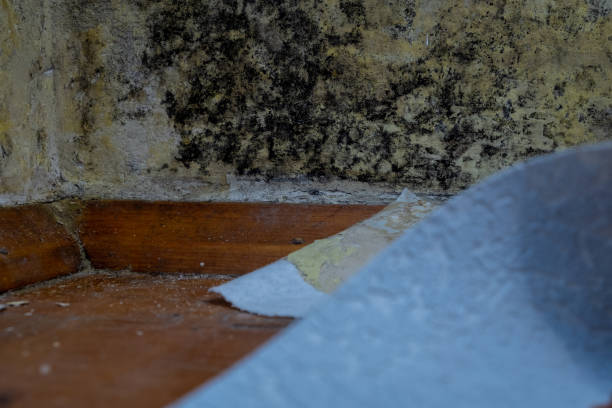 Importance of timely restoration for residential properties in Bethpage, NY