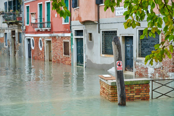 Common causes of property damage and the need for professional restoration services