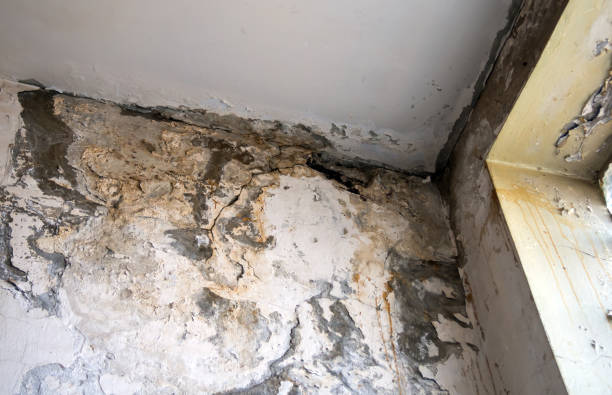 What are the common challenges faced during residential property restoration projects in Bethpage NY?