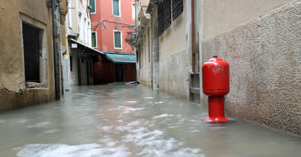 Benefits of hiring a reputable restoration company for property damage in Bethpage, NY