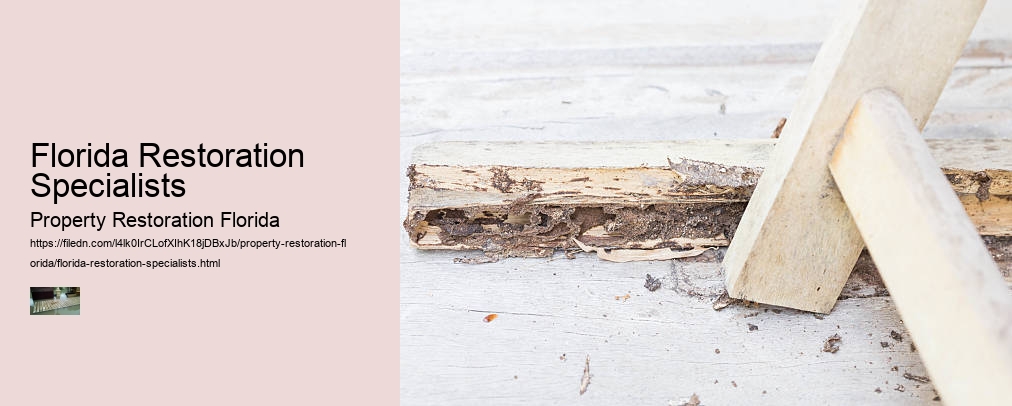 Florida Restoration Specialists