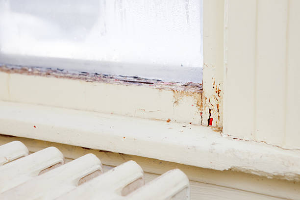 Discover the Secrets to Reviving Your Business Space with Florida's Premier Restoration Specialists