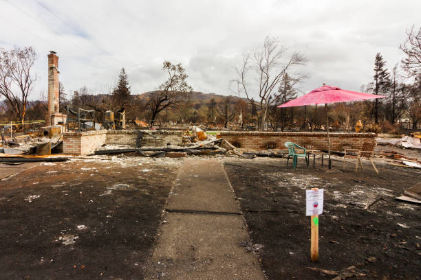 Benefits of Hiring Professional Restoration Companies for Storm Damage 