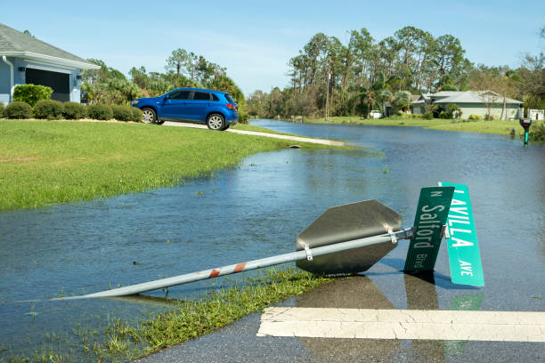 How to Quickly and Efficiently Repair Storm Damage in Connecticut with Professional Restoration Services