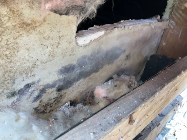 How to Restore Your Connecticut Property After Storm Damage and Increase Its Value