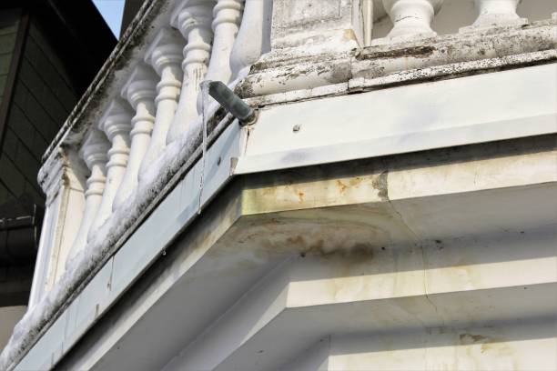 Steps for Assessing and Repairing Storm Damage to Properties 