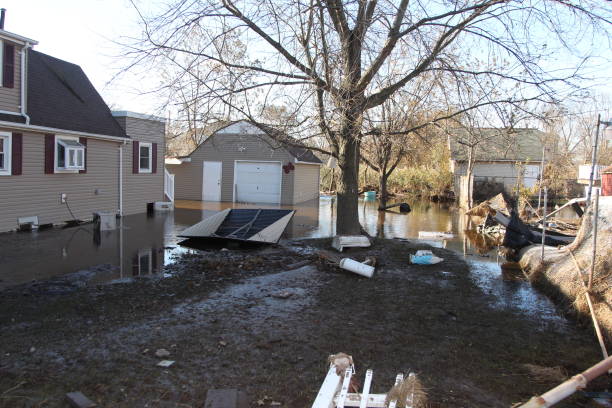 Learn the Top Techniques for Restoring Your Connecticut Home or Business Post-Storm Damage