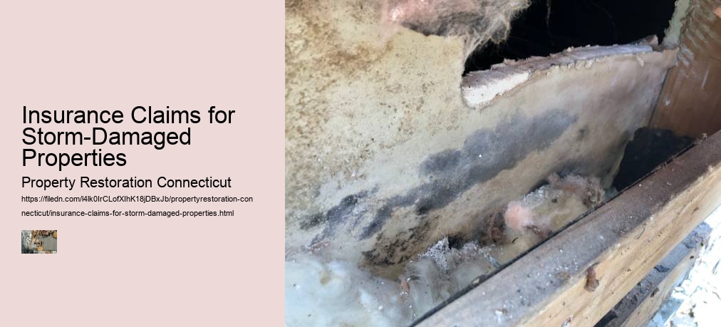 Insurance Claims for Storm-Damaged Properties