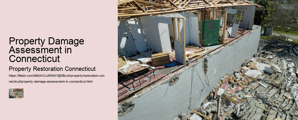 Property Damage Assessment in Connecticut