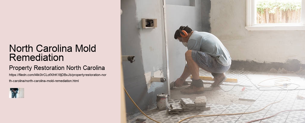 North Carolina Mold Remediation