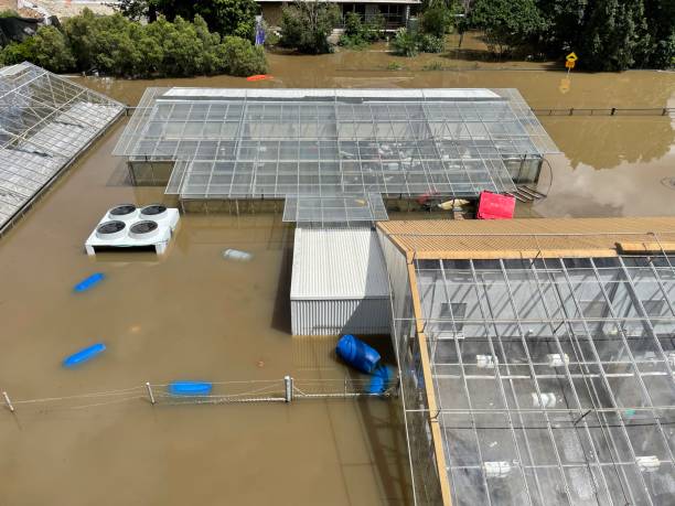 Don't Let Smoke Damage Ruin Your Home Find Expert Restoration Now!