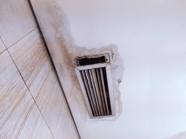Wondering How to Fix Smoke Damage? Trust the Pros in San Antonio!
