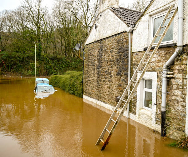 What factors should be considered when choosing a smoke damage restoration company in San Antonio TX?