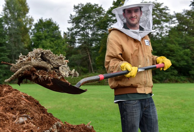 What is the best time of year for pest control in Seattle?