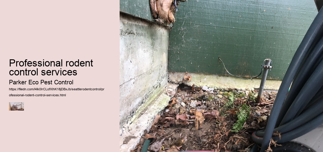 Professional rodent control services