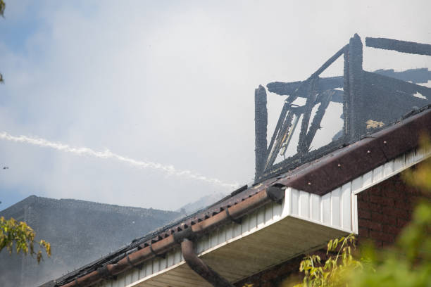 What are the benefits of hiring local professionals for Texas mold water fire damage restoration near me?