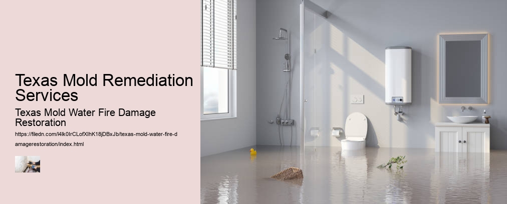 Texas Mold Remediation Services