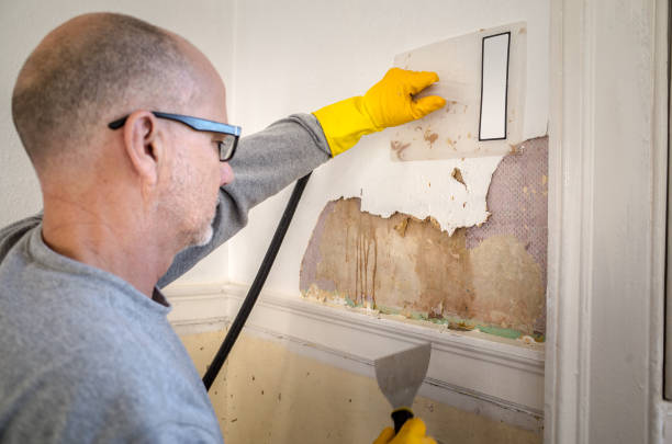 Don't Panic! Here's How to Handle Mold Water Fire Damage Restoration in Texas Like a Pro