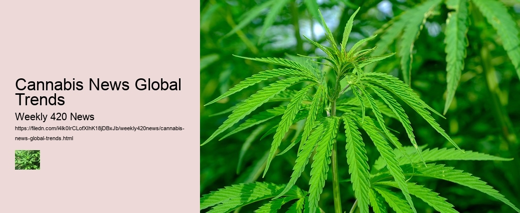 Cannabis News Global Trends
