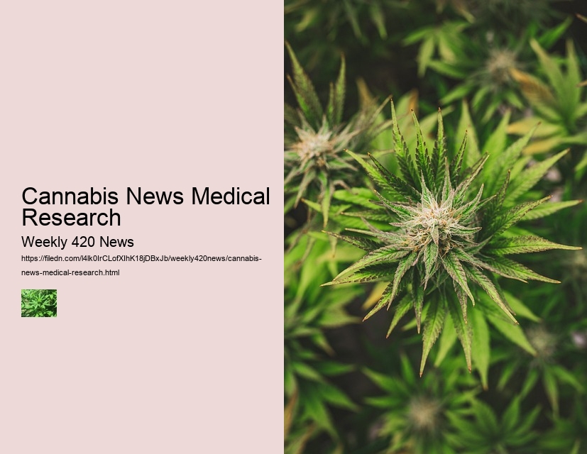 Cannabis News Medical Research