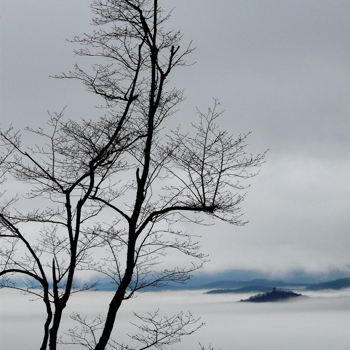 Brume et nuage en Alsace