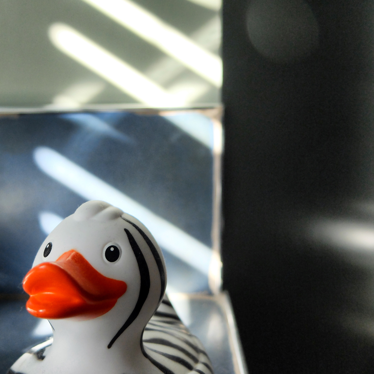 Canard en plastique et effet de lumière