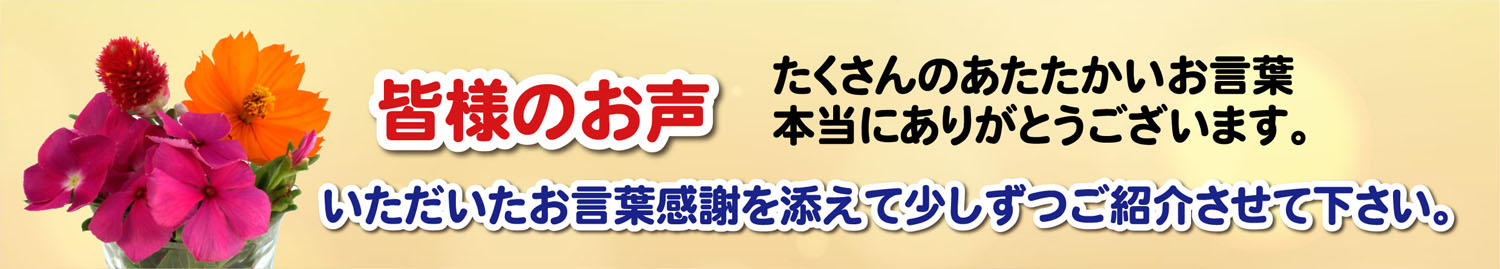 お声