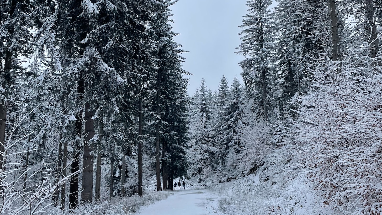 Agencja Marketingowa Horyniec-Zdrój