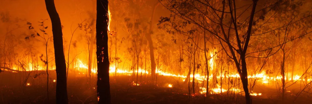 Data science vs social media disinformation: the case of climate change and the Australian bushfires