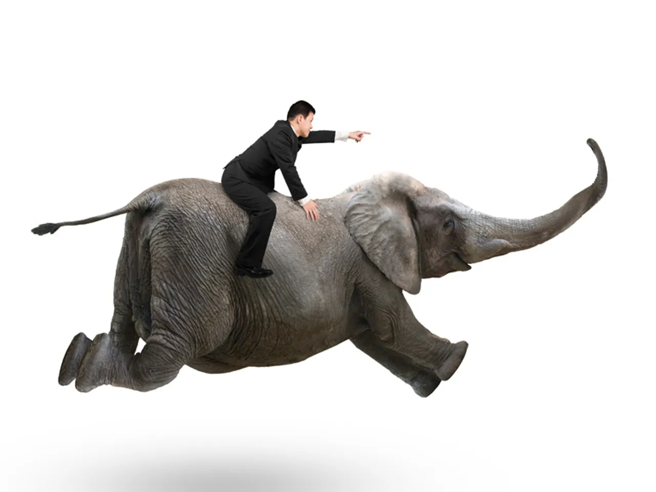 Data Works, Hadoop 3.0 is round the corner, and ‘Horton Hatches the Egg’
