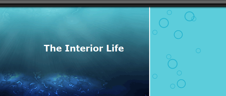 The Interior Life